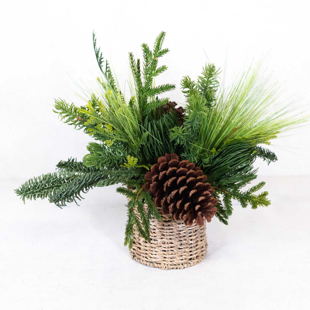 Mixed Pine with Pinecones in Woven Basket