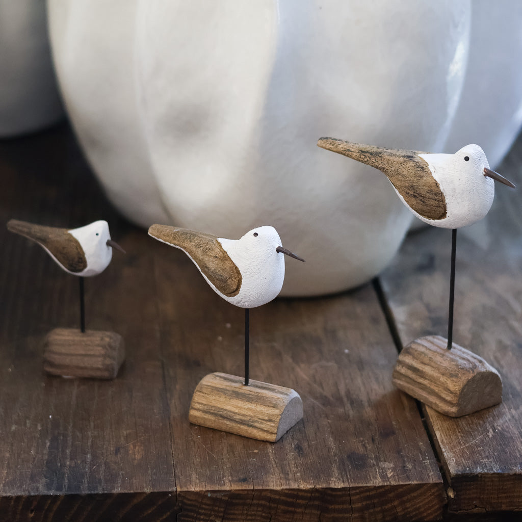 Seagull on Driftwood Medium