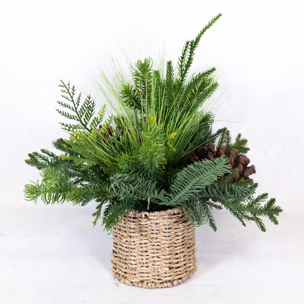 Mixed Pine with Pinecones in Woven Basket