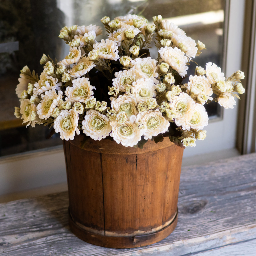 Mum Bush Stem Cream