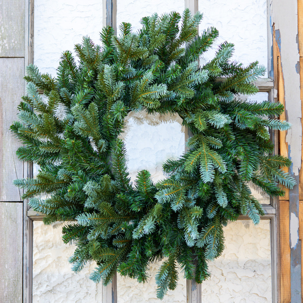 24" Blue Spruce Wreath