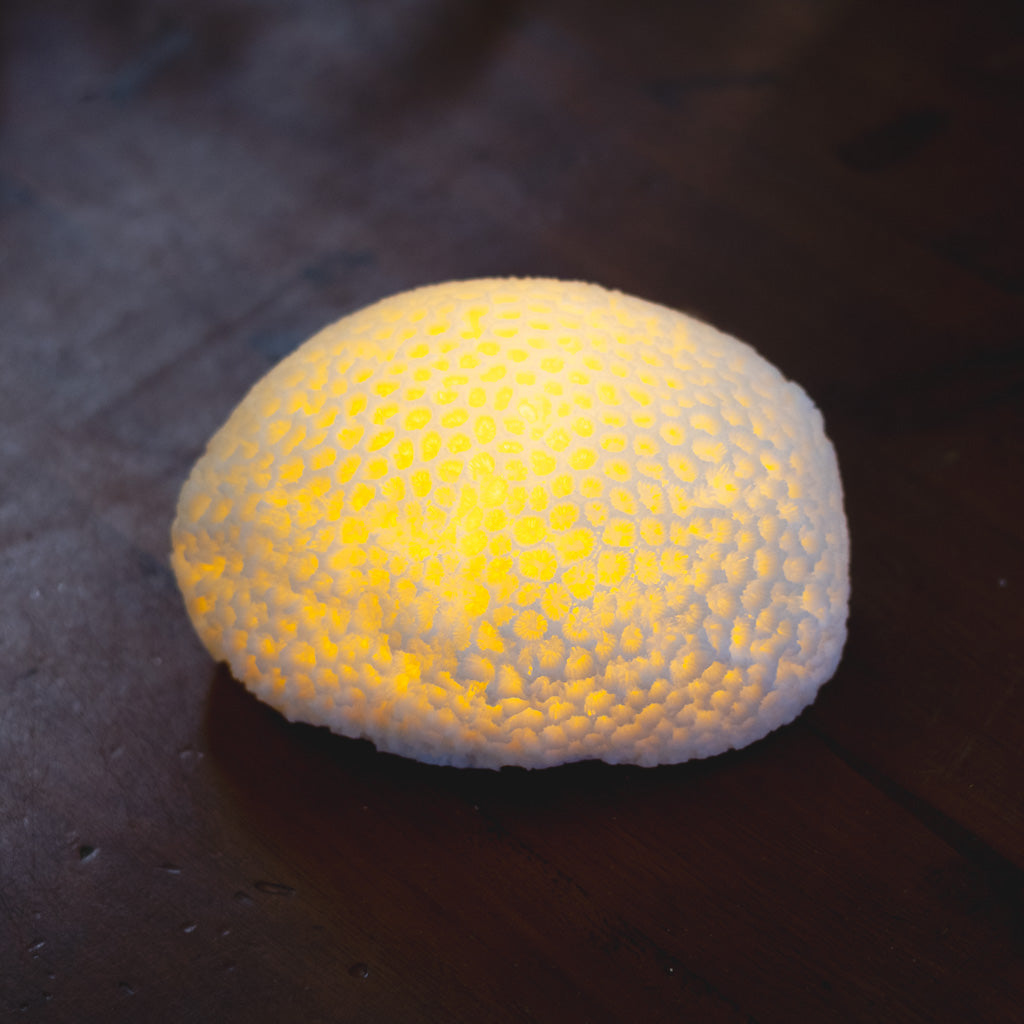 Resin LED Indoor/Outdoor Coral Shaped White Lamp