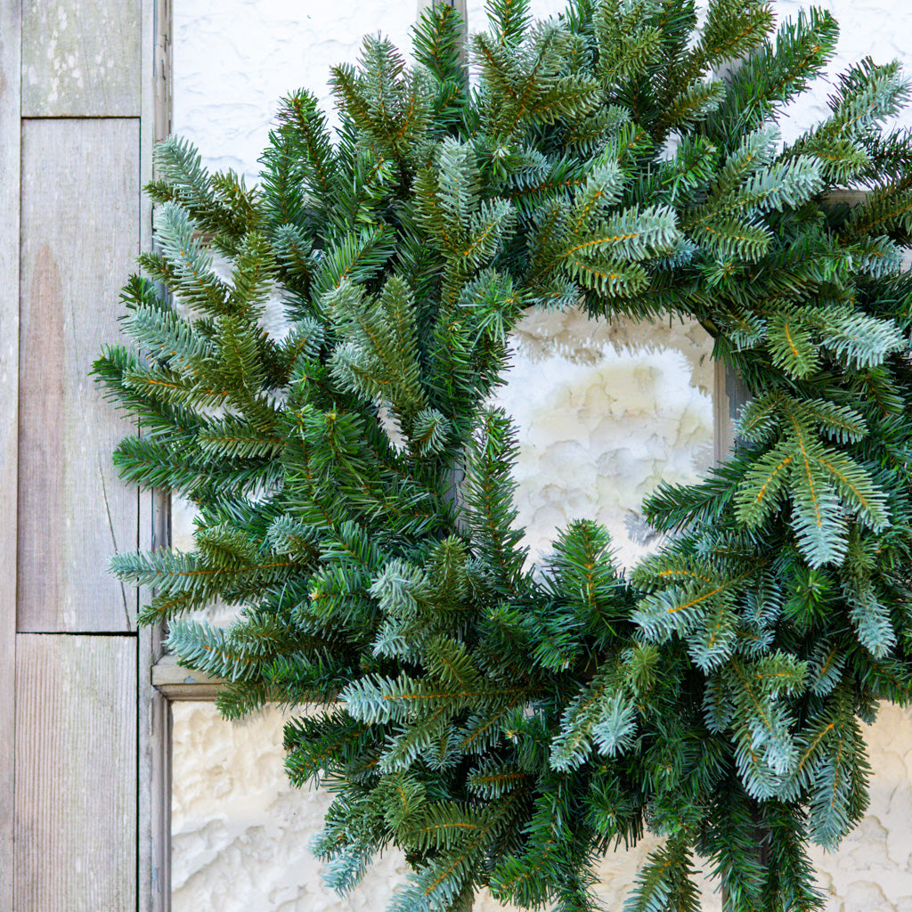 24" Blue Spruce Wreath