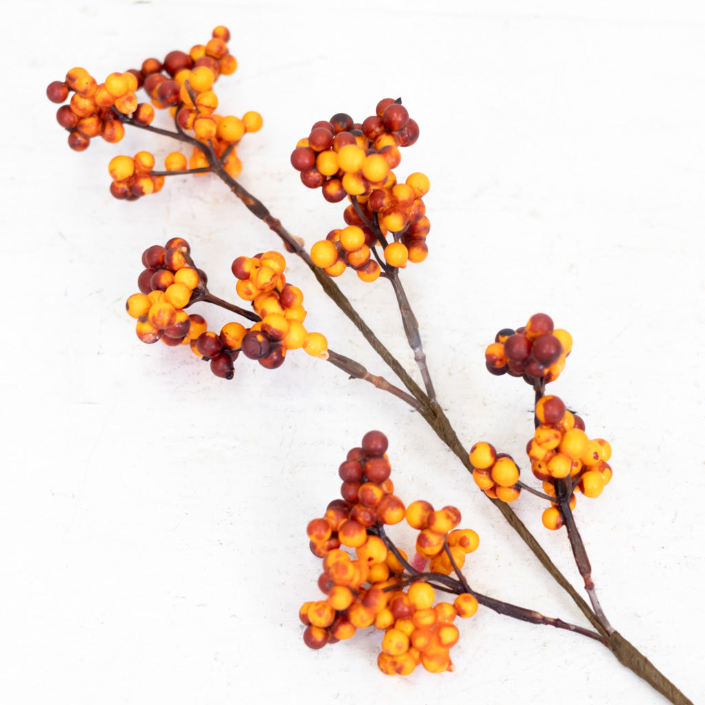 Berry Pick Rust Weather Resistant