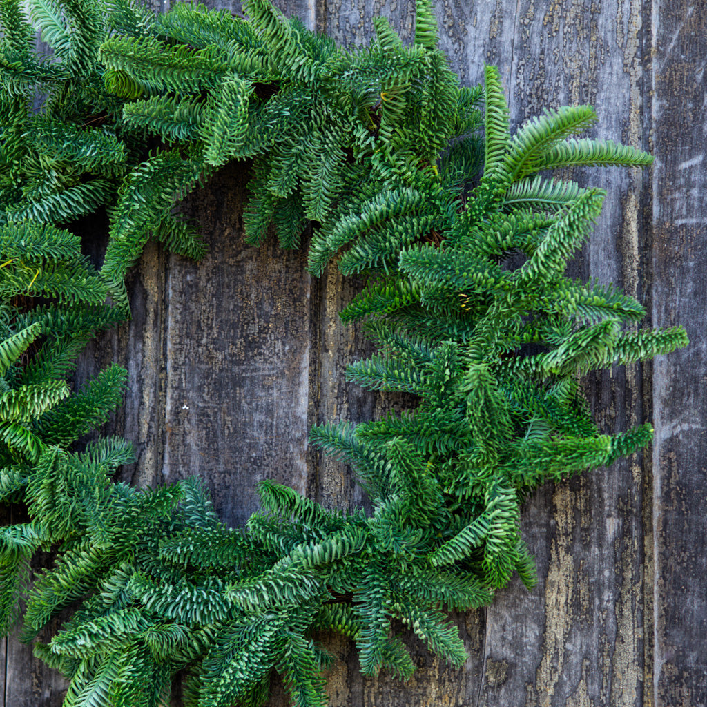 24" Noble Fir Wreath