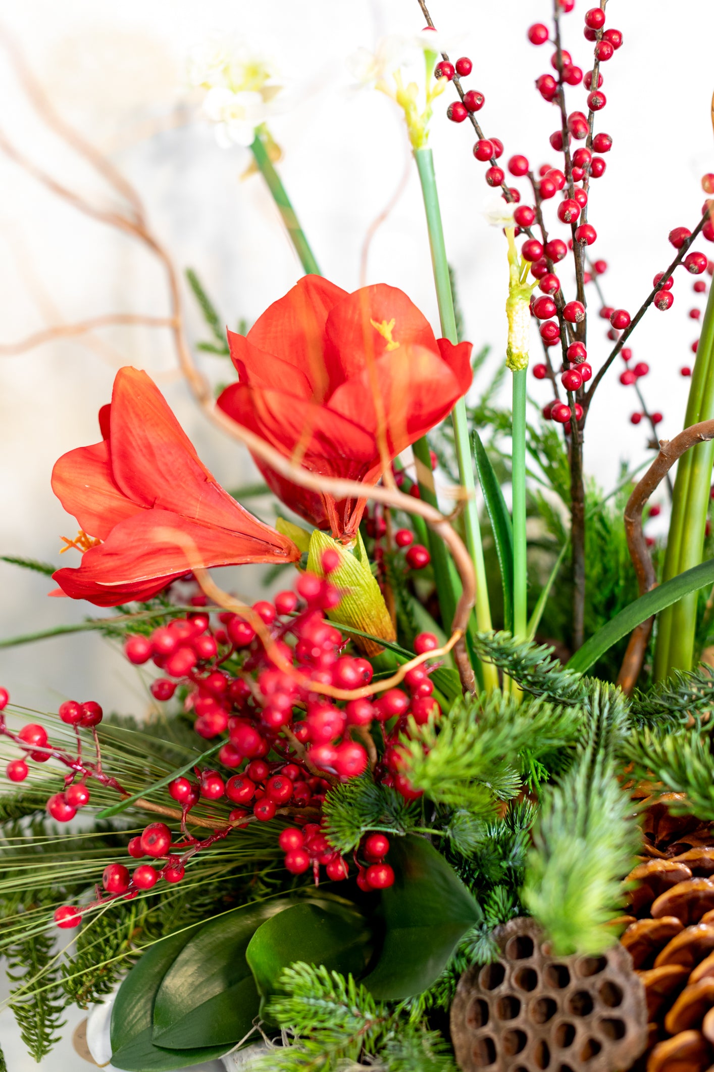 Holiday Greenhouse Planter Drop In