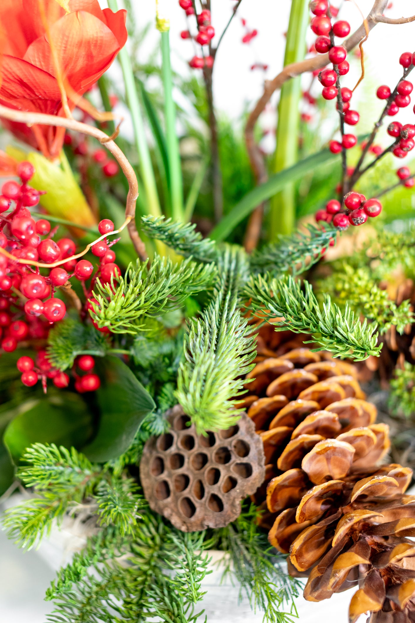 Holiday Greenhouse Planter Drop In