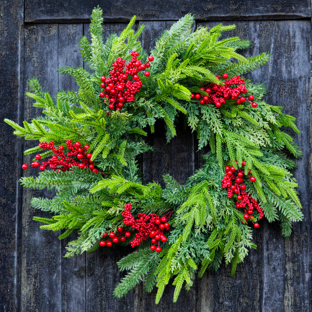 24" D Bramble Red Berry and Evergreen Wreath