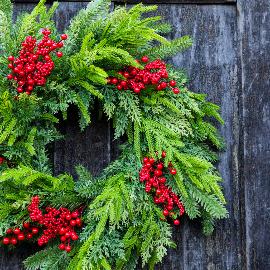 24" D Bramble Red Berry and Evergreen Wreath