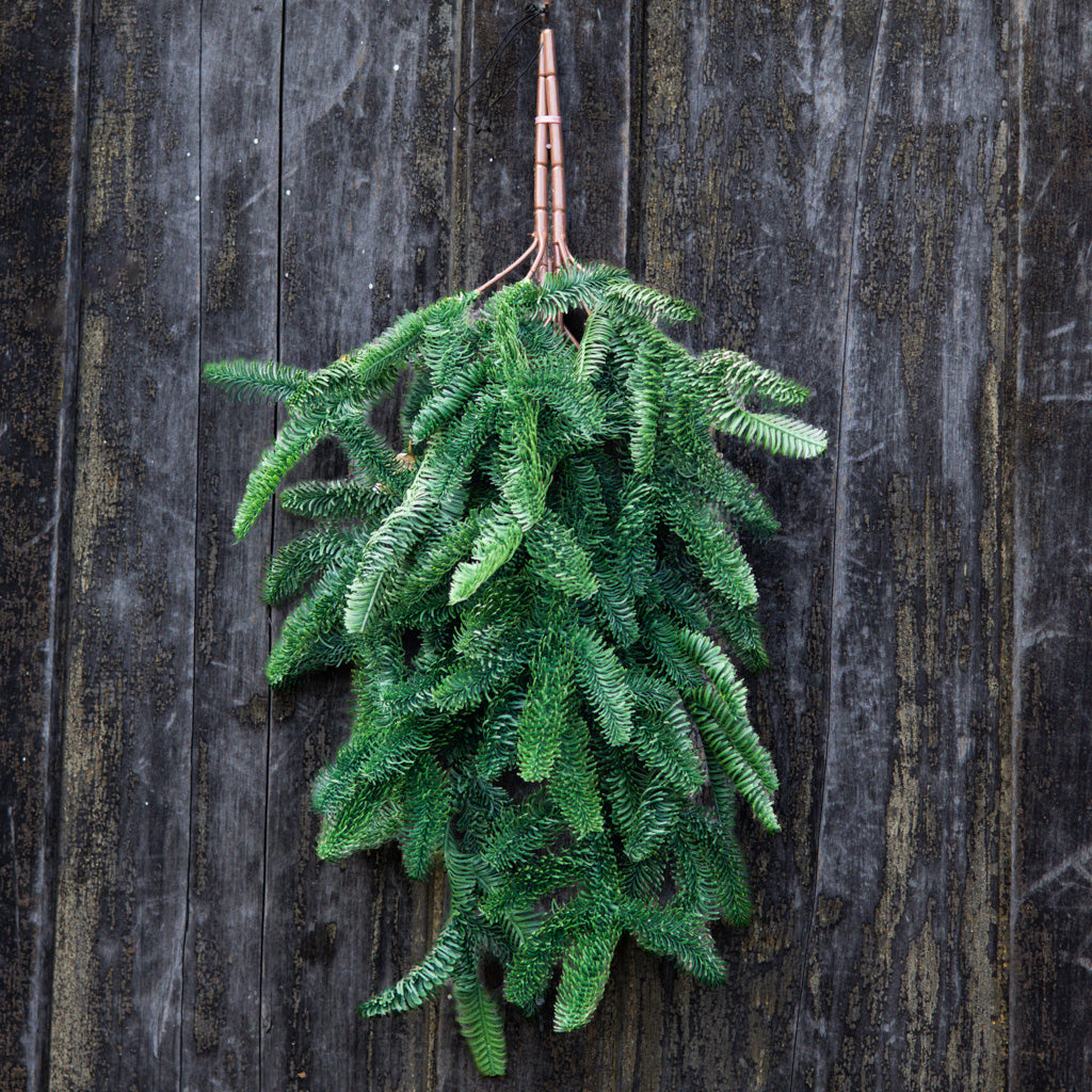 30" Noble Fir Teardrop