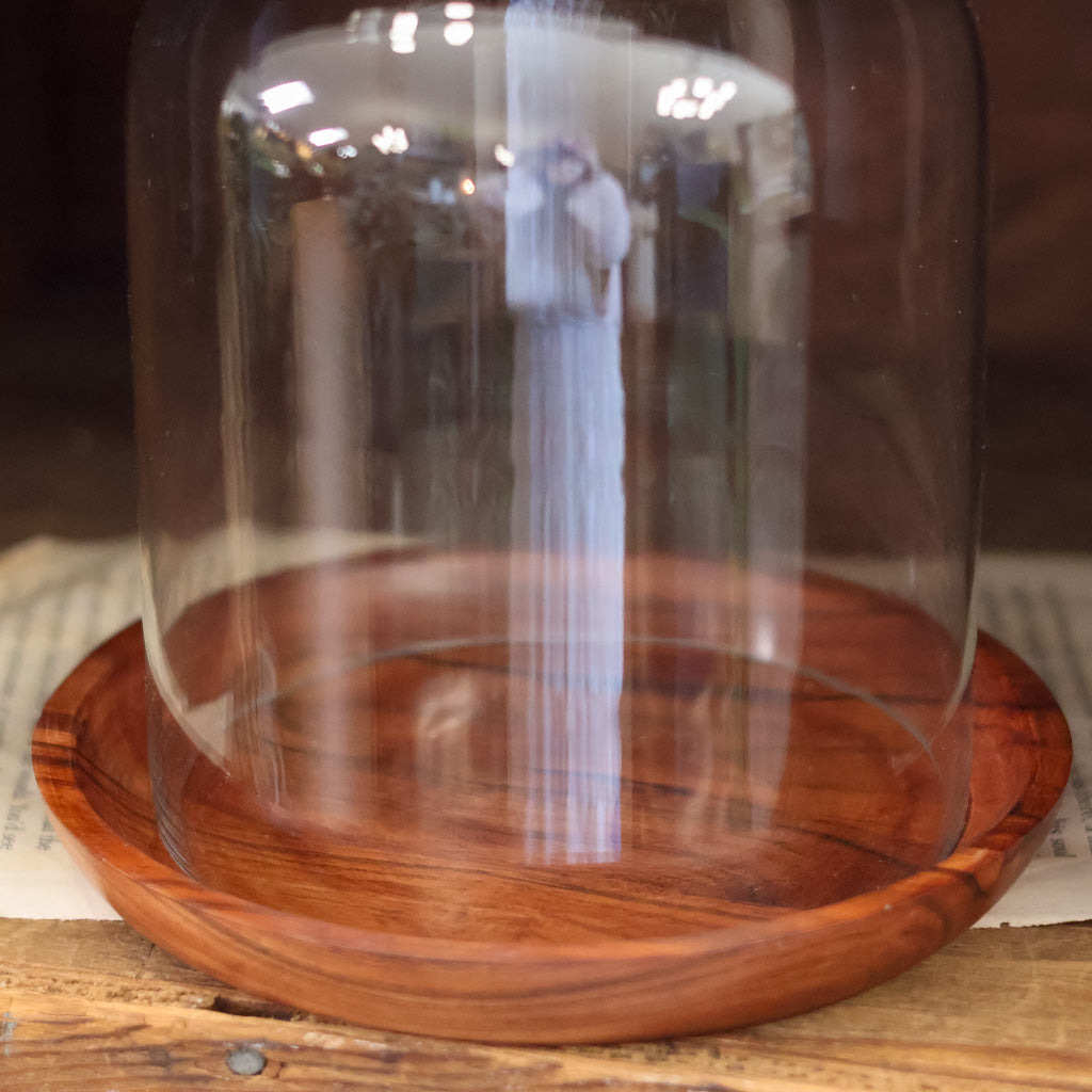 Set of Glass Cloche and Wooden Plate