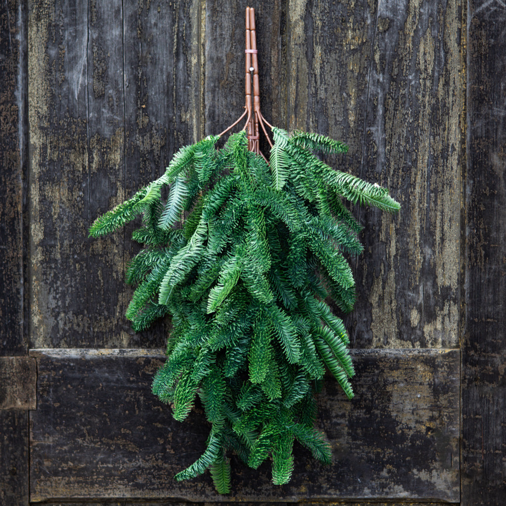 30" Noble Fir Teardrop