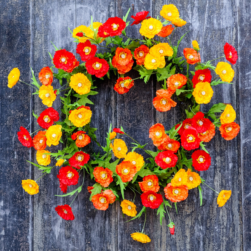 Poppy Wreath