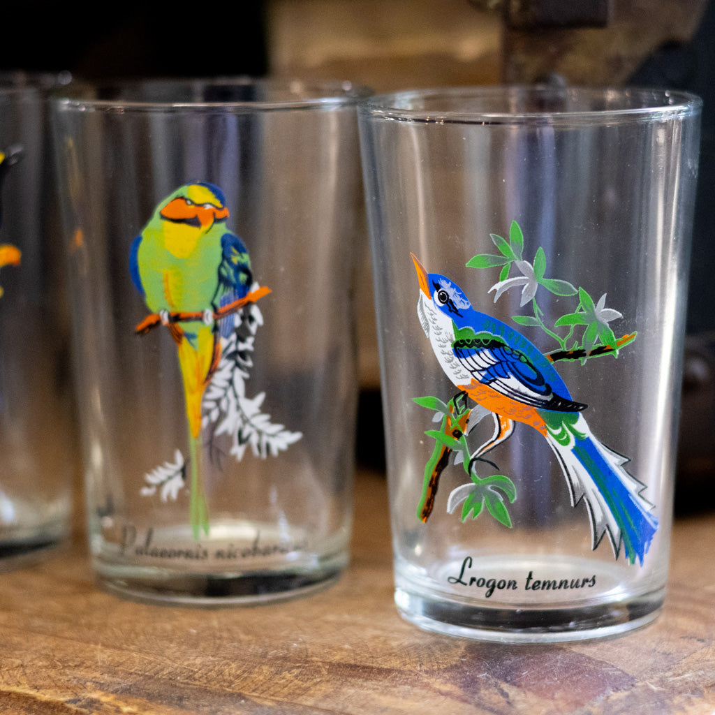 Vintage KIG Malaysia Exotic Bird Glasses Set of Four