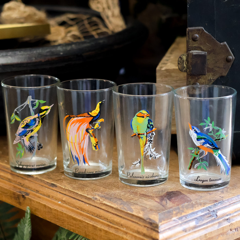 Vintage KIG Malaysia Exotic Bird Glasses Set of Four