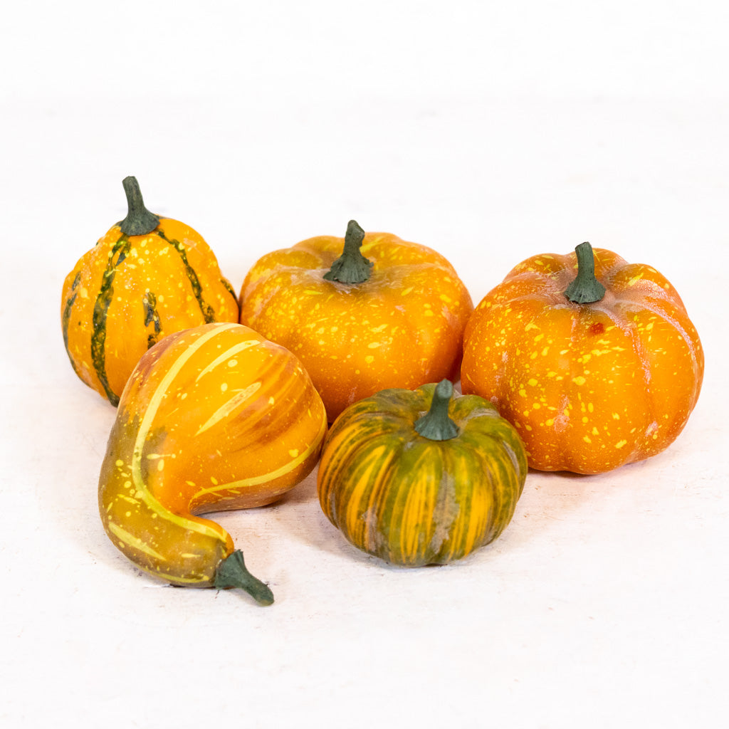 Farmstand Pumpkin & Gourd Bag of Five