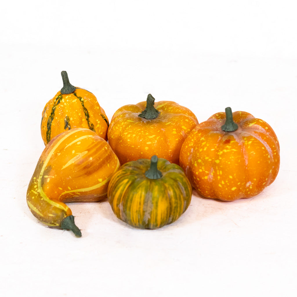Farmstand Pumpkin & Gourd Bag of Five