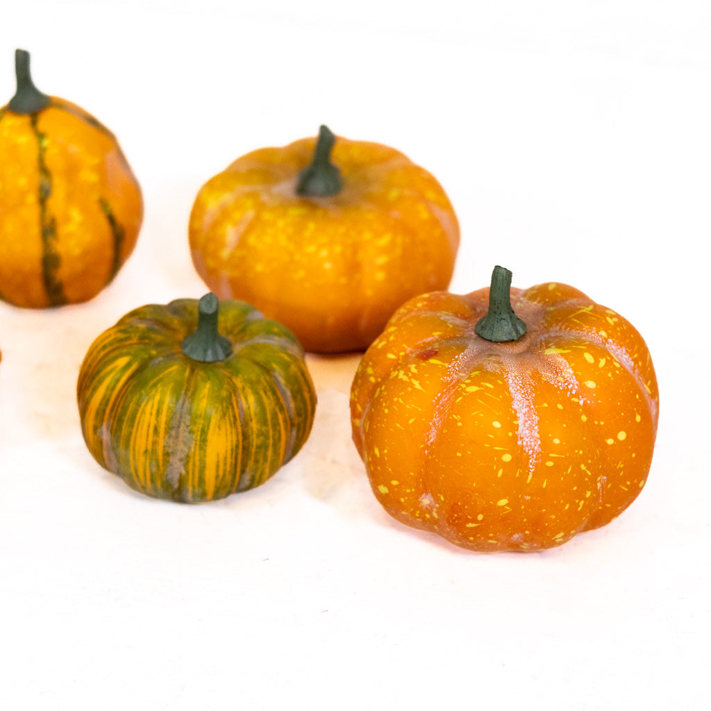 Farmstand Pumpkin & Gourd Bag of Five