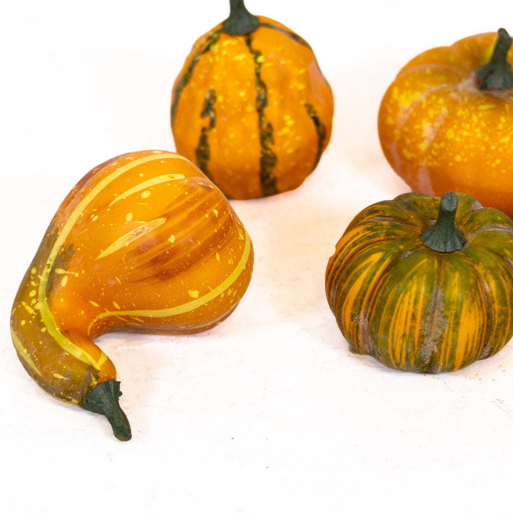 Farmstand Pumpkin & Gourd Bag of Five