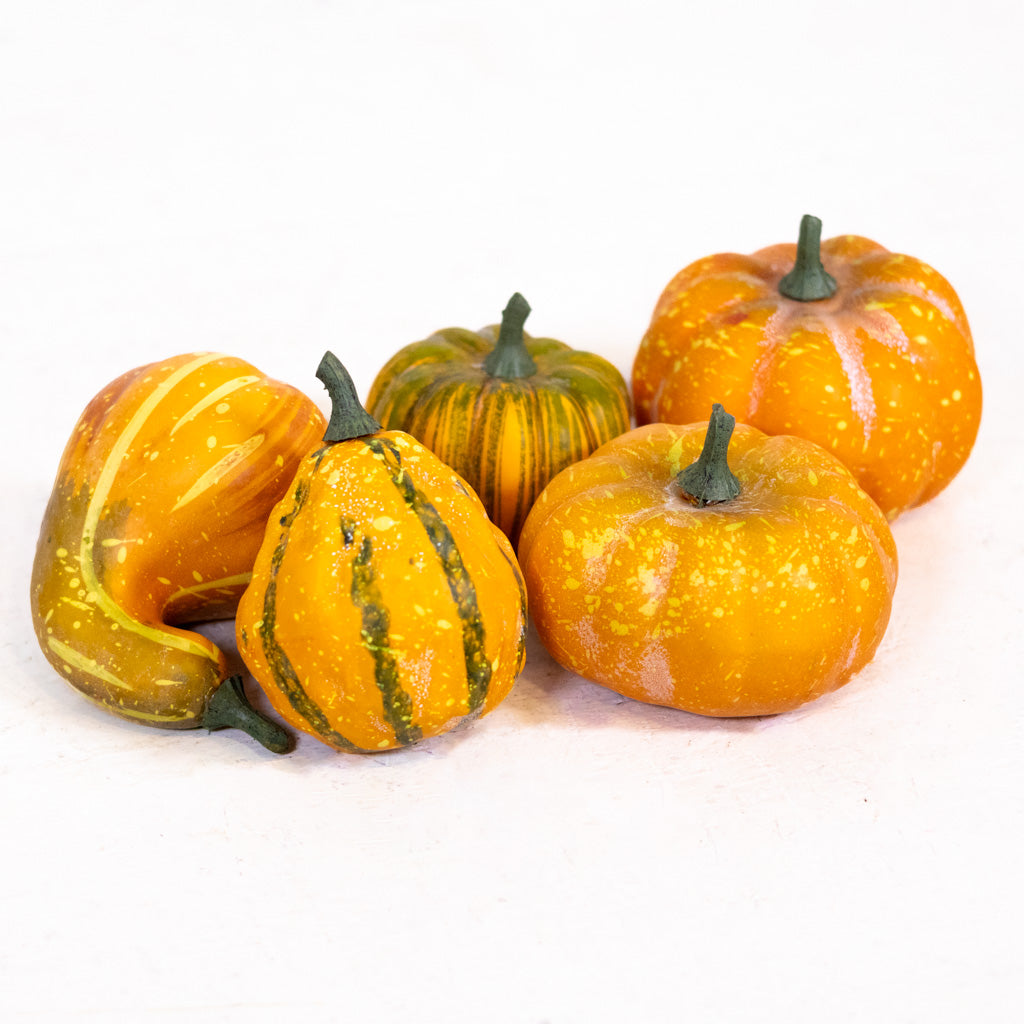 Farmstand Pumpkin & Gourd Bag of Five