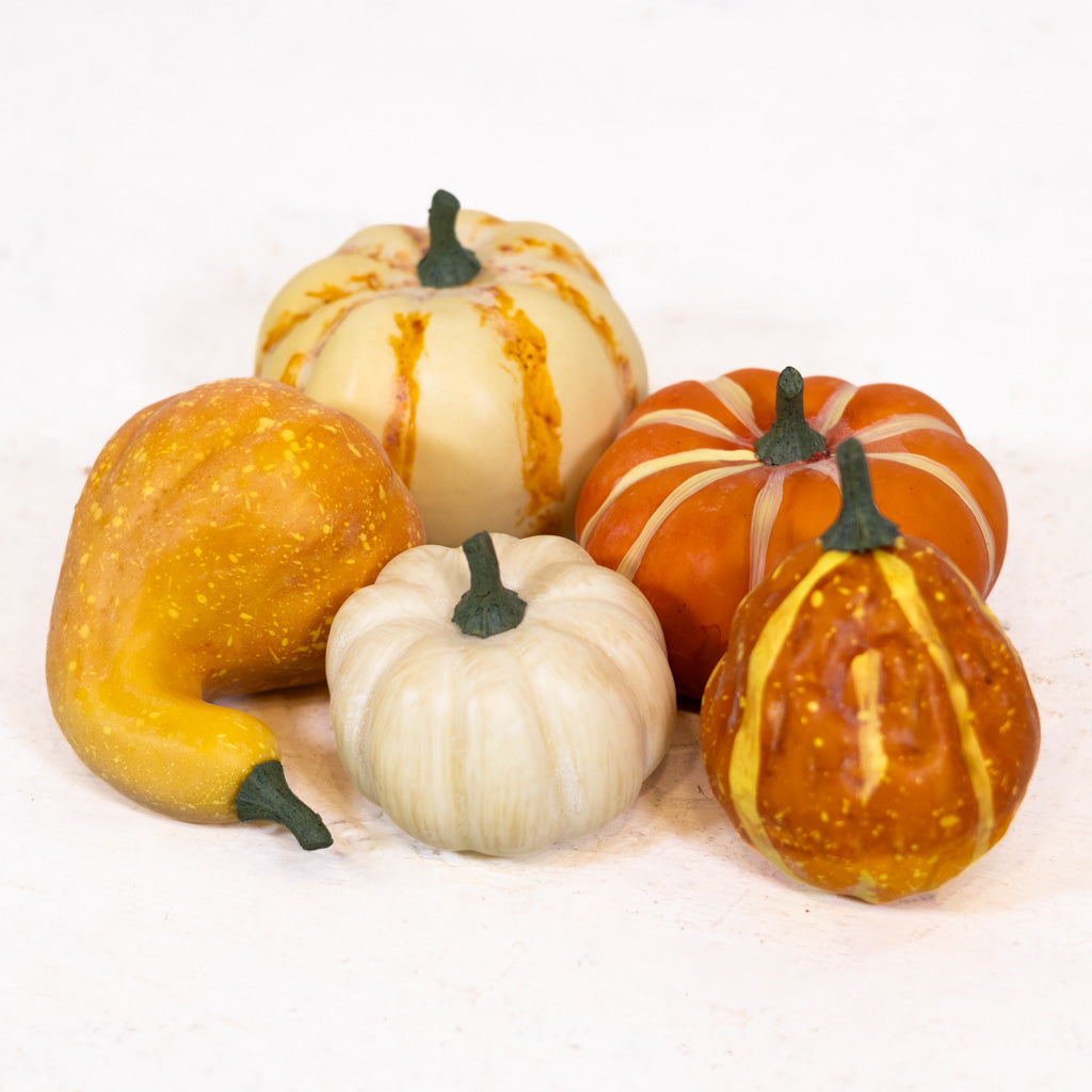 Large Farmstand Pumpkin & Gourd Bag of Five
