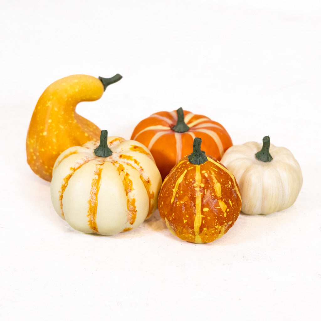 Large Farmstand Pumpkin & Gourd Bag of Five
