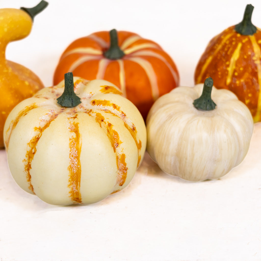 Large Farmstand Pumpkin & Gourd Bag of Five