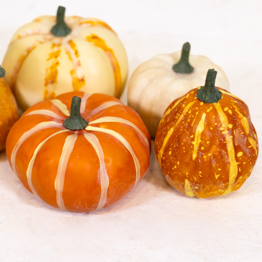 Large Farmstand Pumpkin & Gourd Bag of Five