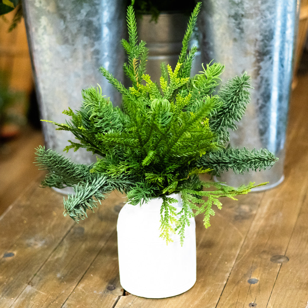 Mixed Pine in White Wood Vase