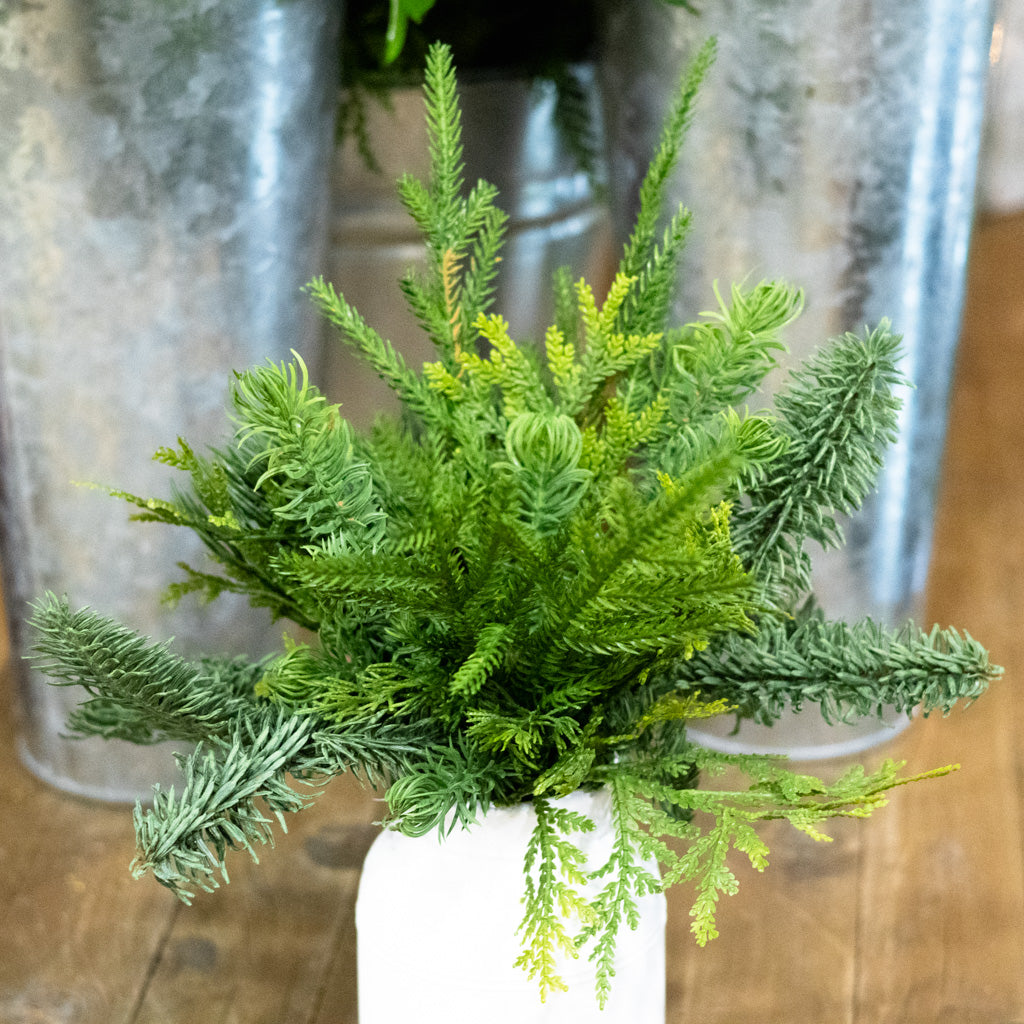 Mixed Pine in White Wood Vase