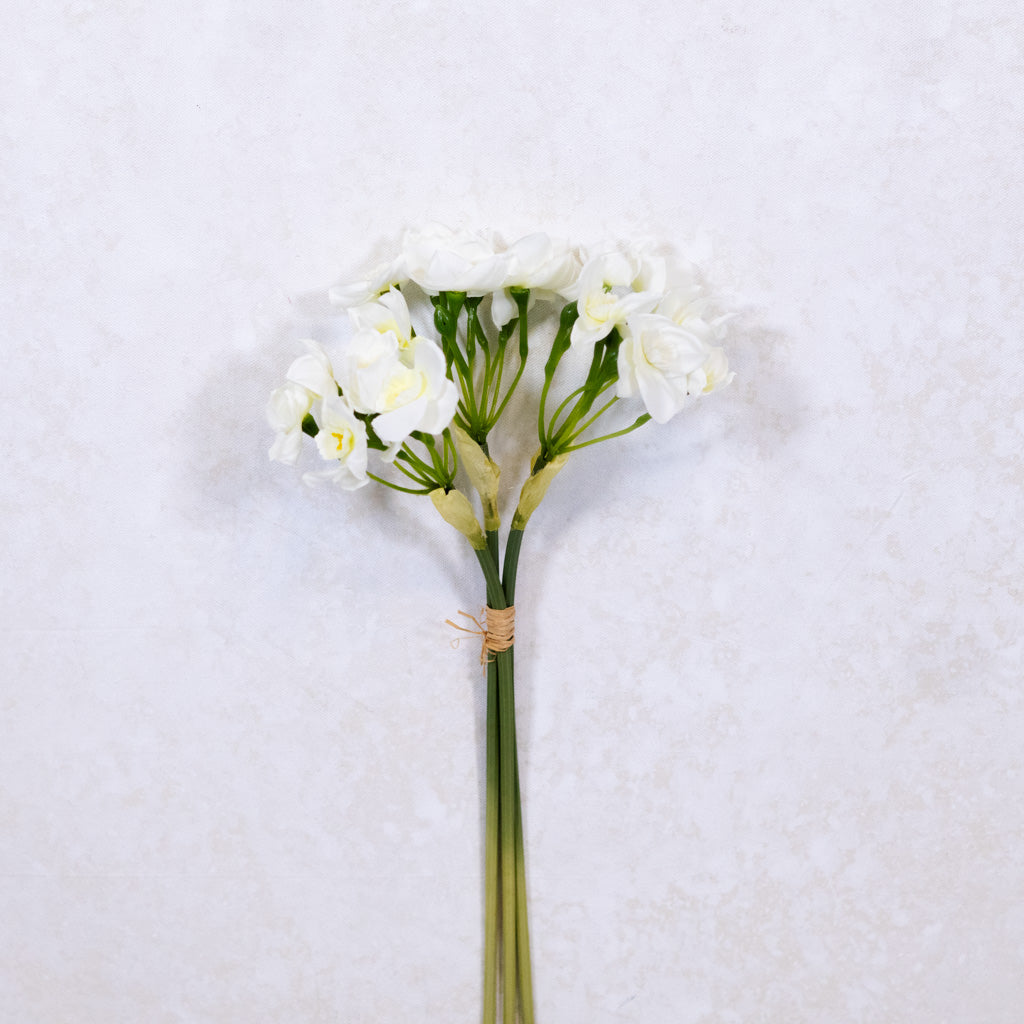 Daffodil White Bundle