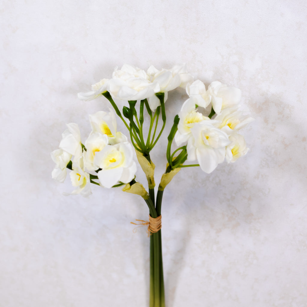 Daffodil White Bundle