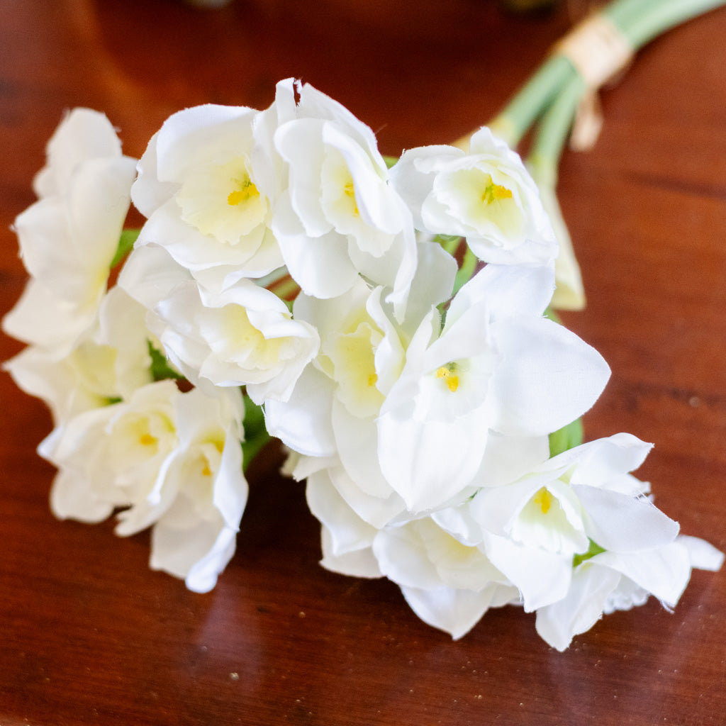 Daffodil White Bundle