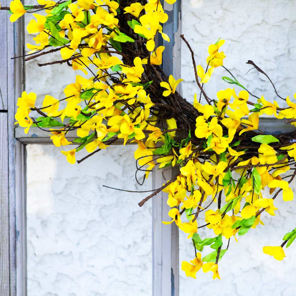Yellow Forsythia Wreath