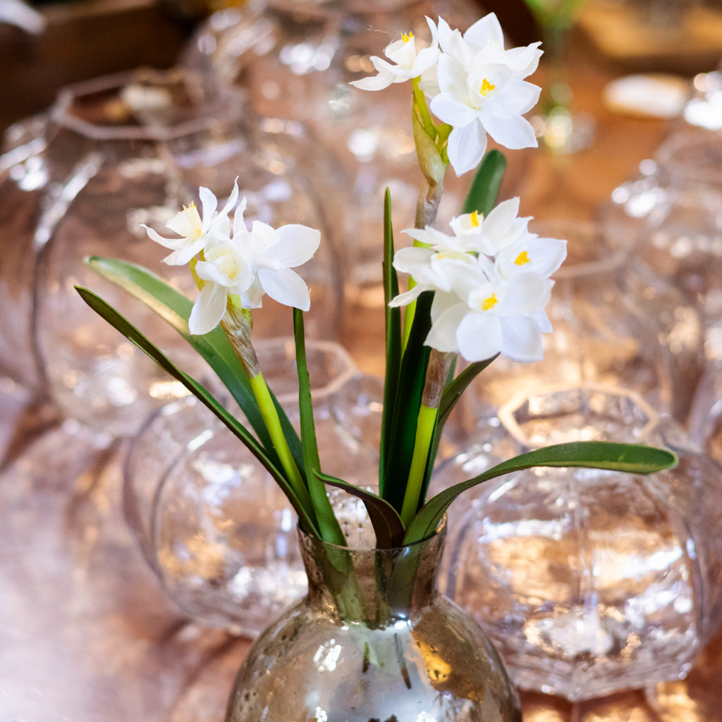 Paperwhite Two-Tone White with Bulb