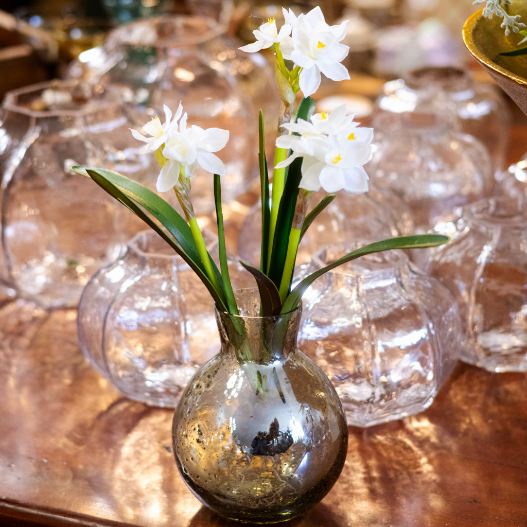 Paperwhite Two-Tone White with Bulb