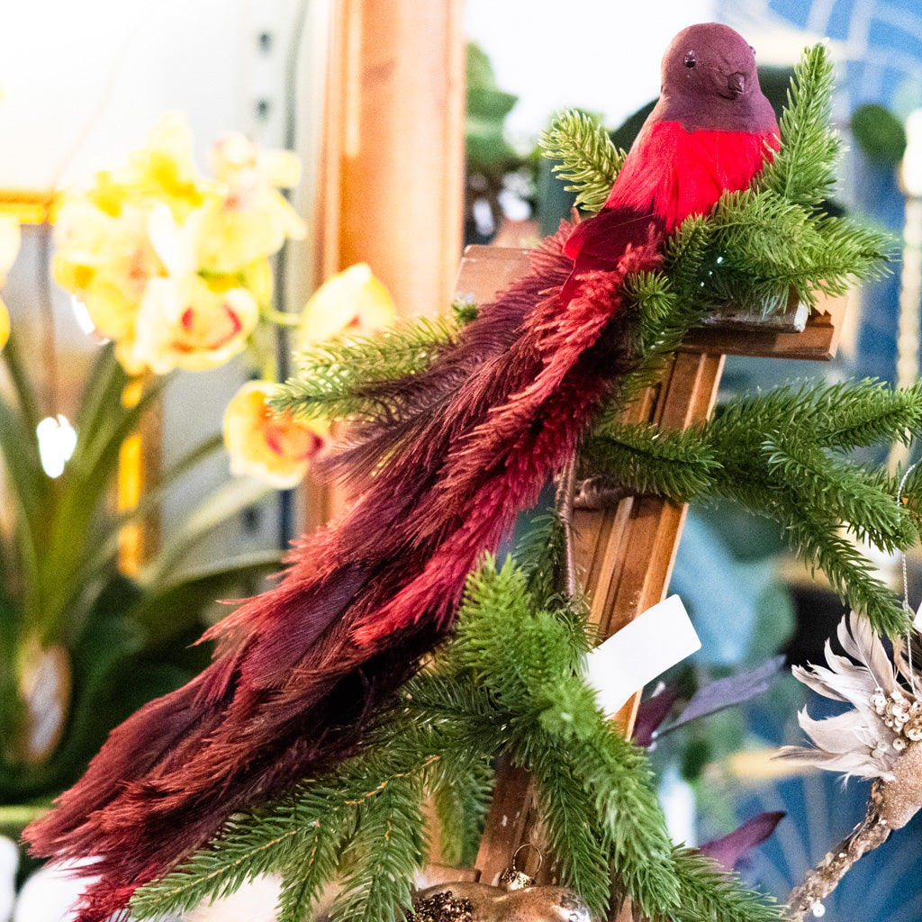Bird with Red Ostrich Tail and Clip