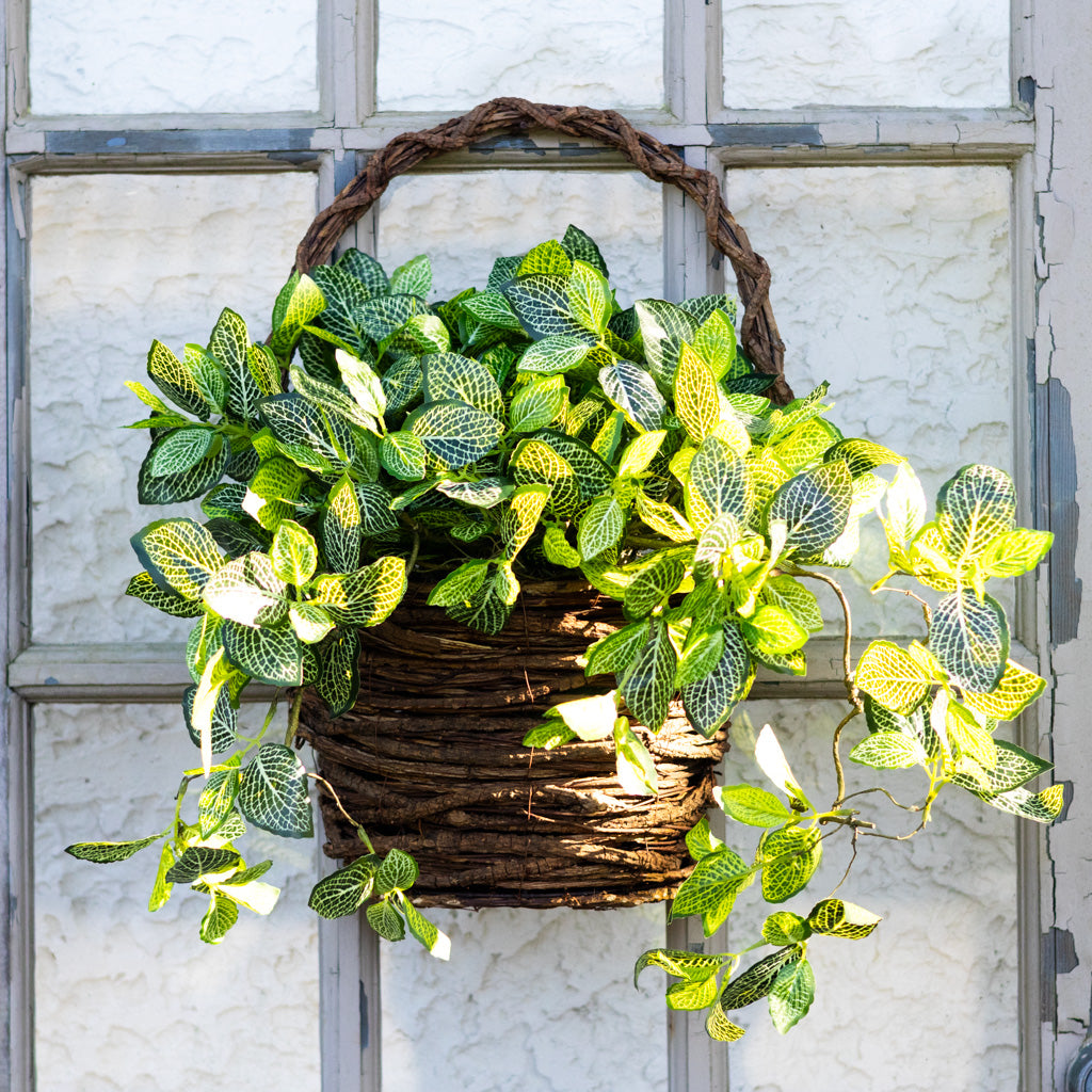 Small Grapevine Wall Basket