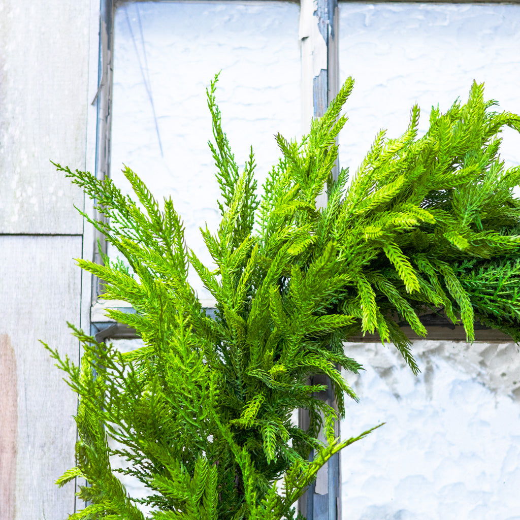 24"D Woodland Evergreen Wreath Real Touch