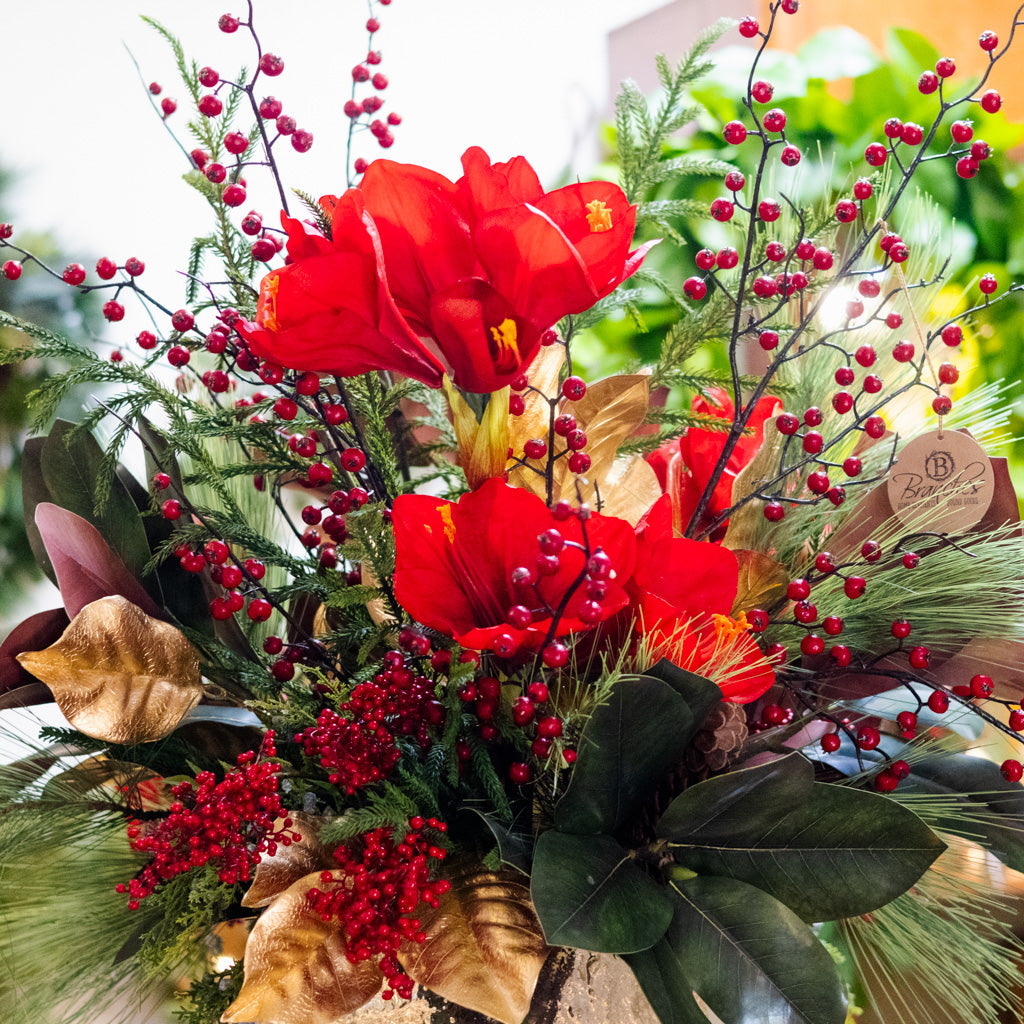 Emma Holiday Drop In