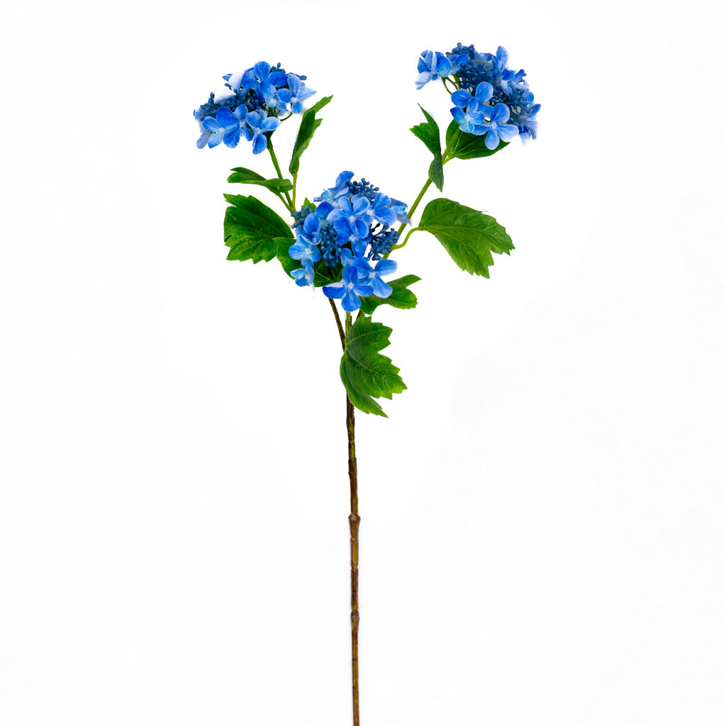 Blue Lace Hydrangea Spray