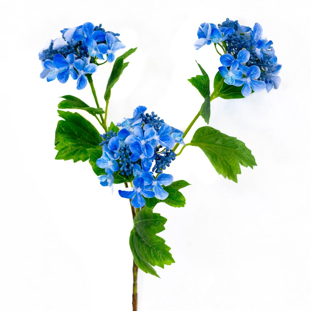 Blue Lace Hydrangea Spray