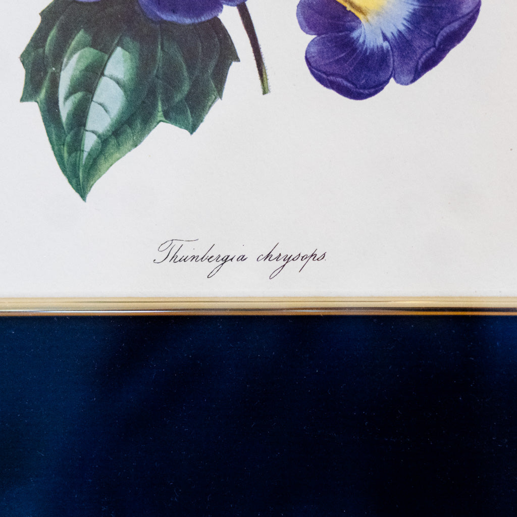 Botanical Art "Blue"