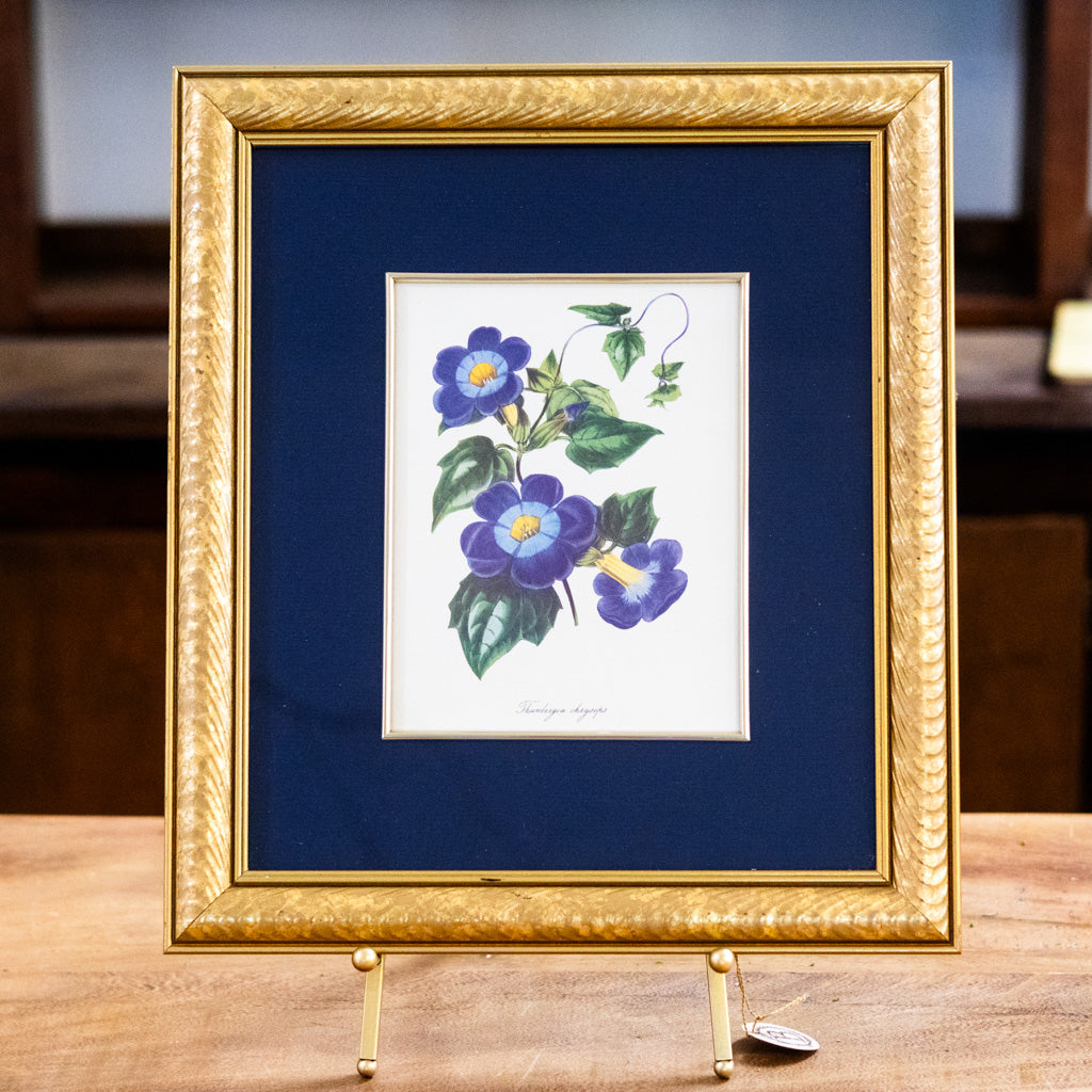 Botanical Art "Blue"