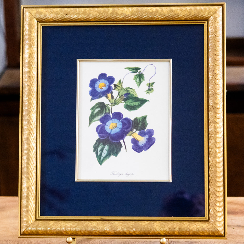 Botanical Art "Blue"
