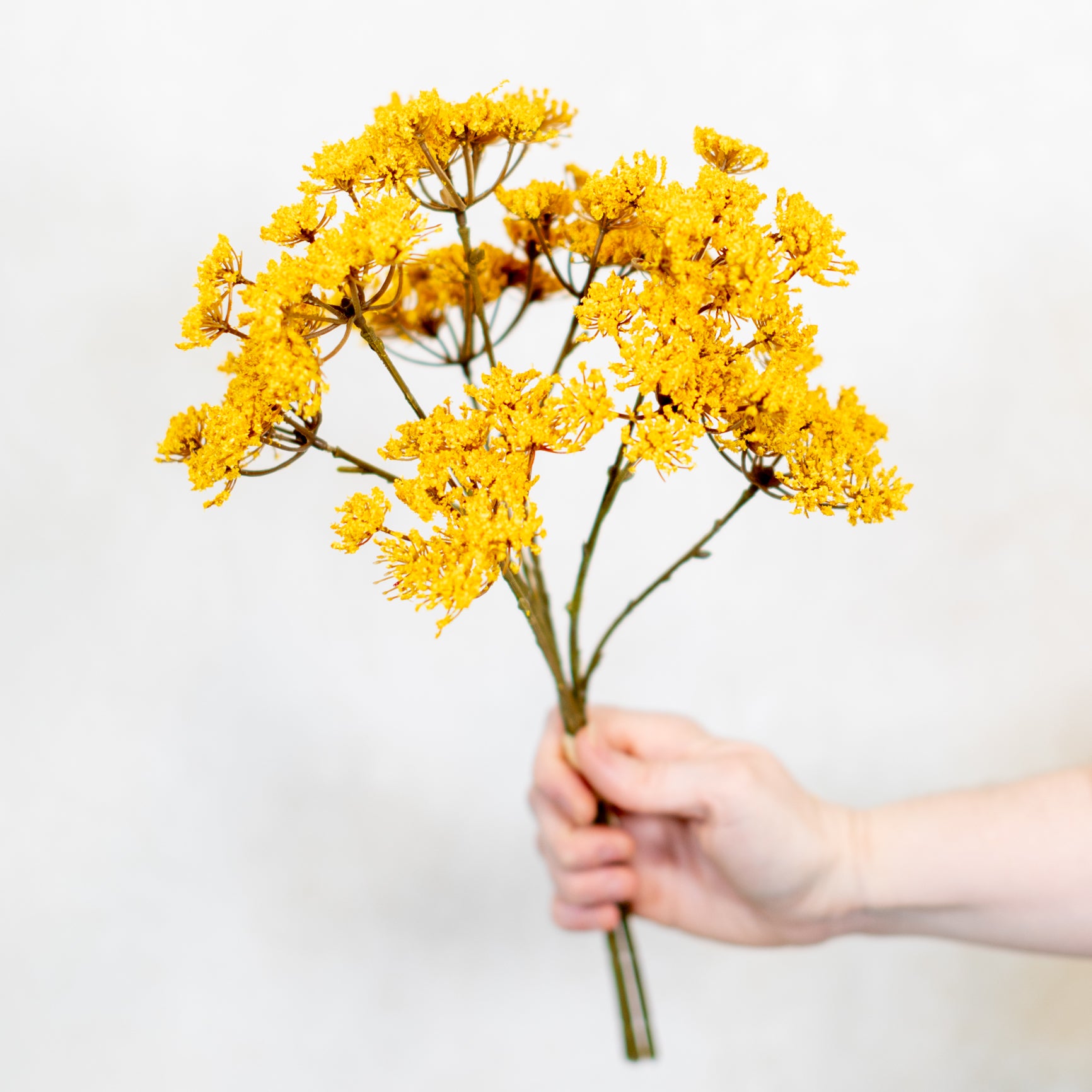 Yarrow Pick Bundle Gold