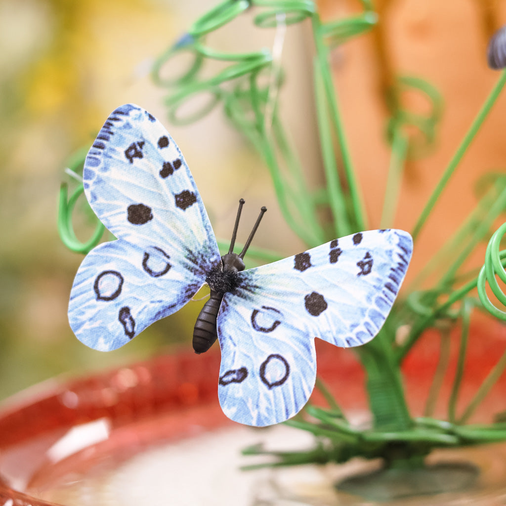 Fabric Blue Butterfly Box of Six