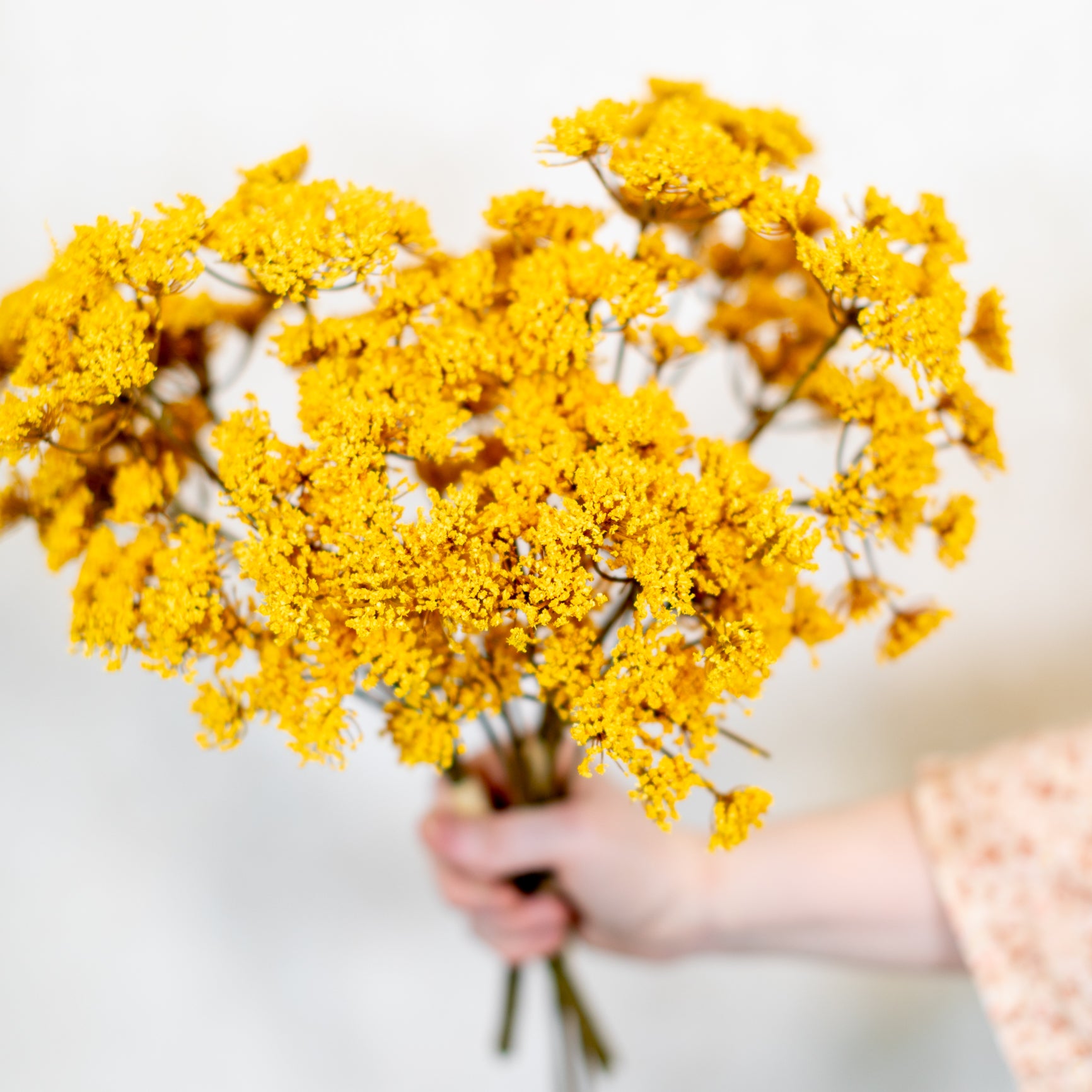Yarrow Pick Bundle Gold