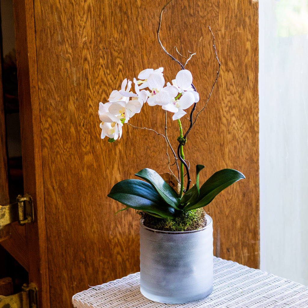 Small White Orchid Drop In