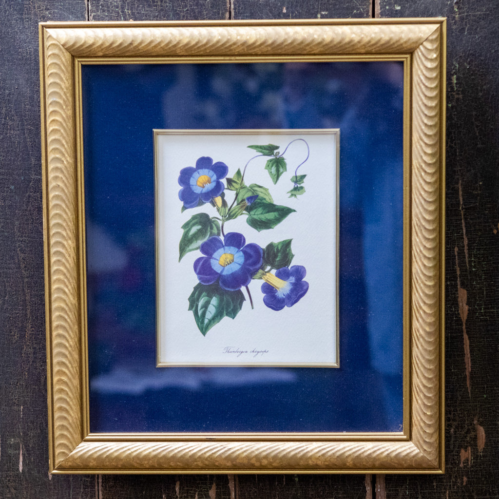 Botanical Art "Blue"